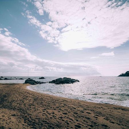 Apartamento Reformado A 2 Minutos De La Playa En Calella! كاليلا دو بالافروجيل المظهر الخارجي الصورة